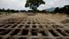 Graves dug in El Salvador for victims of the coronavirus Graves dug in El Salvador for victims of the coronavirus