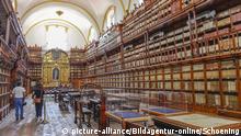 Biblioteca Palafoxiana, Puebla, Mexiko | Verwendung weltweit, Keine Weitergabe an Wiederverkäufer.