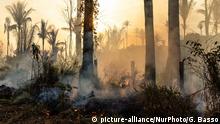 PARA, BRAZIL, 29/08/2019 - Amazon forest area is burned in rural Novo Progresso, in Para, north of Brazil, this Thursday, August 28th, days after the president decreet prohibiting the intentional burnings that multiplied this year in the Amazon region. While president Jair Bolsonaro blamed NGOs for burnings and deforastation, August registered the highest rates of forest destruction and and burnings in 9 years (Photo by Gustavo Basso/NurPhoto) | Keine Weitergabe an Wiederverkäufer.