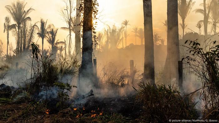 Brasilien Amazons Waldbrand