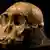 Schädelknochen des Australopithecus sediba (Foto: AP)