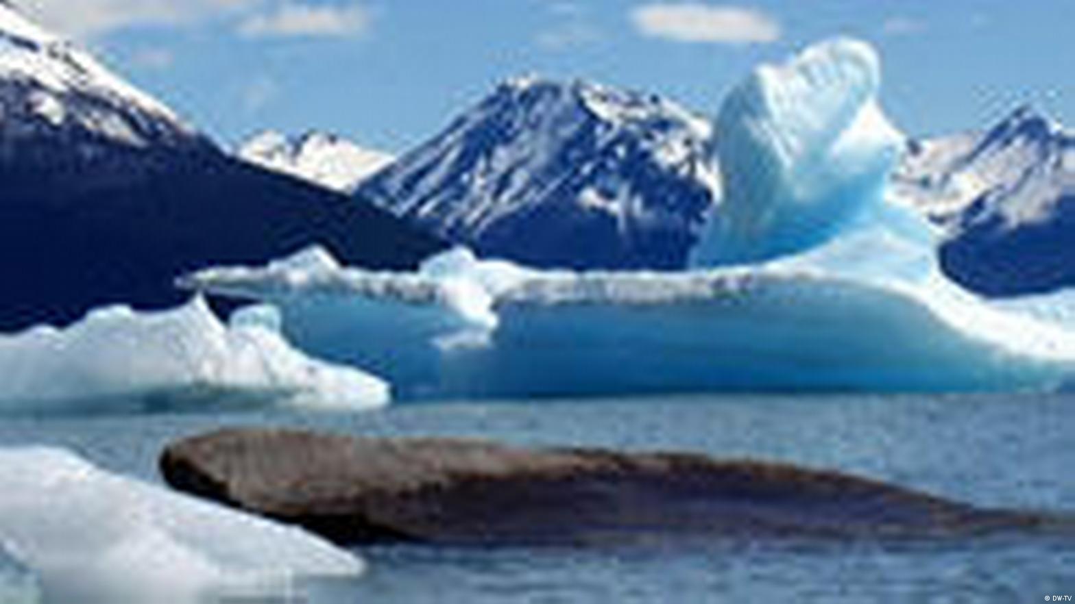 La octava maravilla del mundo