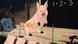 George Orwell Animal Farm George Orwell Animal Farm