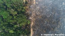Brasilien Waldbrände Amazonas Regenwald