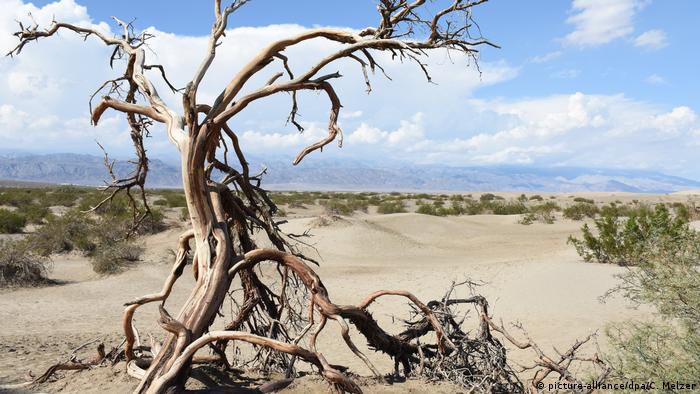 Екстремни горещини, опожарени земи, наводнения: днешните деца ще преживяват до