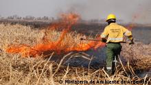 17.08.20 Brände im Paraná-Delta in Argentinien.
Quelle: Ministerio de Ambiente de Argentina