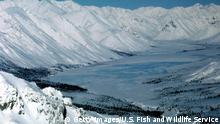 392886 13: (FILE PHOTO) This undated photo shows the Arctic National Wildlife Refuge in Alaska. The Bush administration''s controversial plan to open the refuge to oil drilling was approved by the House of Representatives on August 2, 2001, but it faces a tough battle in the Senate. (Photo by U.S. Fish and Wildlife Service/Getty Images)