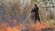 A firefighter puts out a blaze in the Amazon in Brazil (mago images/Agencia EFE/Getty Images/AFP/R. Florentino) A firefighter puts out a blaze in the Amazon in Brazil (mago images/Agencia EFE/Getty Images/AFP/R. Florentino)
