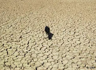 Des terres dégradées par la sécheresse en Inde
