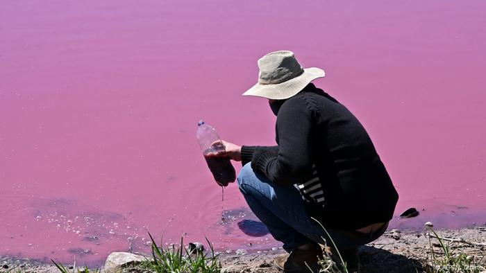 Un hombre recoge agua de la laguna Cerro durante una protesta contra una curtiduría cercana que supuestamente arroja desechos químicos al lago provocando que su agua se torne de color rojo rosado, en Limpio, a 25 km al noreste de Asunción, el 22 de agosto de 2020.