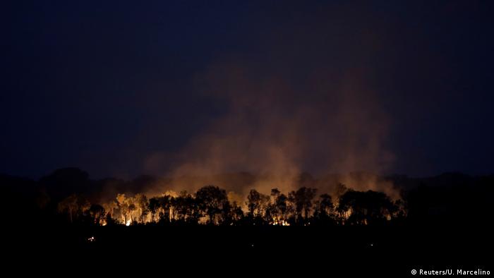 Un incendio en el estado brasileño de Amazonas