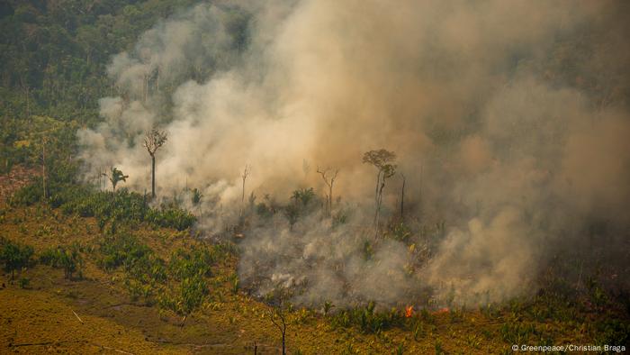 Foto simbólica de la destrucción en la Amazonía