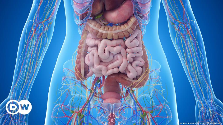 Stool transplants: A way to bring gut bacteria back to health