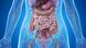 صورة "غرافيك" رمزية للأمعاء وأعضاء أخرى بالجهاز الهضمي. صورة "غرافيك" رمزية للأمعاء وأعضاء أخرى بالجهاز الهضمي.