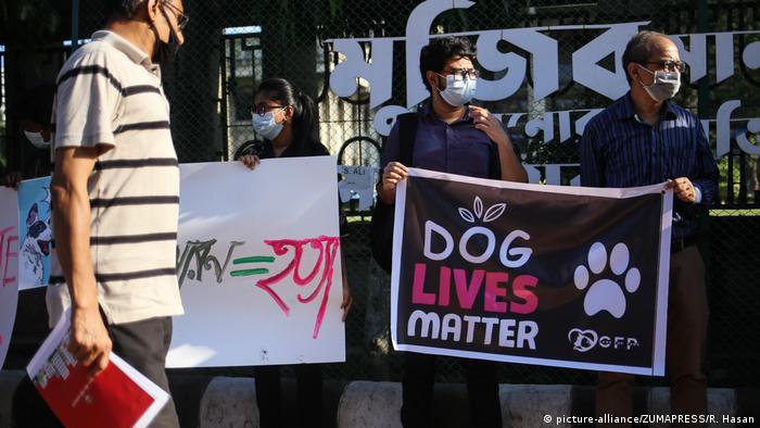 Bangladesch Protest von Tierschützern gegen Pläne mit Straßenhunden (picture-alliance/ZUMAPRESS/R. Hasan)