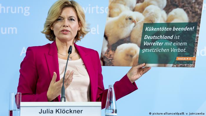 Julia Klöckner auf einer Pressekonferenz am 9.9 in Berlin mit einem Schild - Töten männlicher Eintagsküken soll gesetzlich verboten werden
