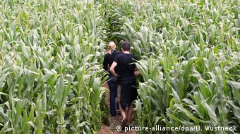 Deutschland Maislabyrinth in Karls Erlebnis-Dorf