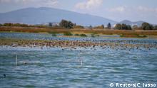 Birds are pictured at the Texcoco lake, near the canceled airport zone that is part of a project to conserve 12,200 hectares of land in Texcoco on the outskirts of Mexico City, Mexico September 3, 2020. Picture taken September 3, 2020..REUTERS/Carlos Jasso