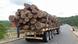 Mosambik | Fahrzeug mit illegalem Holz wurde von der Polizei in Manica beschlagnahmt Mosambik | Fahrzeug mit illegalem Holz wurde von der Polizei in Manica beschlagnahmt