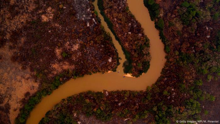 Pantanal após queimadas