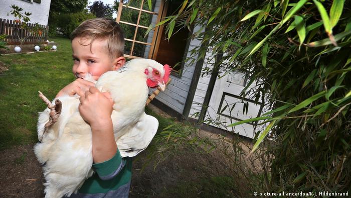 Бад-Грёненбах