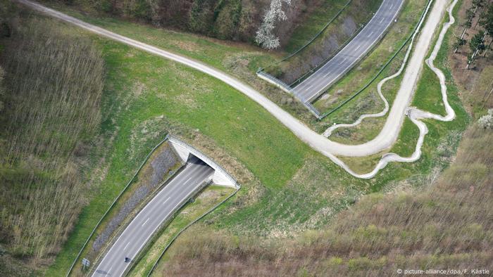 Ecoduct near Friedrichshafen