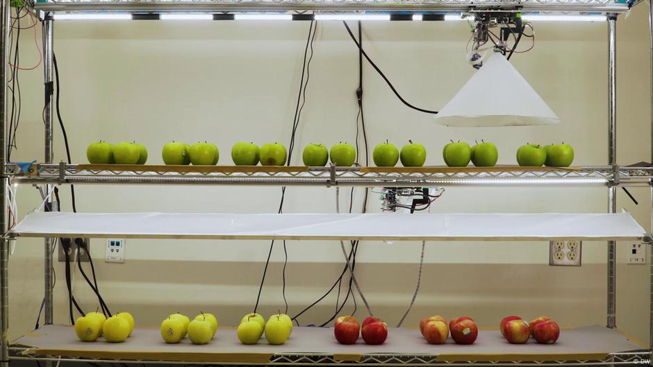 Forever young? Longer shelf life for food DW 07/16/2021