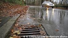 regennasse Strasse mit Laub am Kanal, Deutschland | foliage on wet road, Germany | Verwendung weltweit