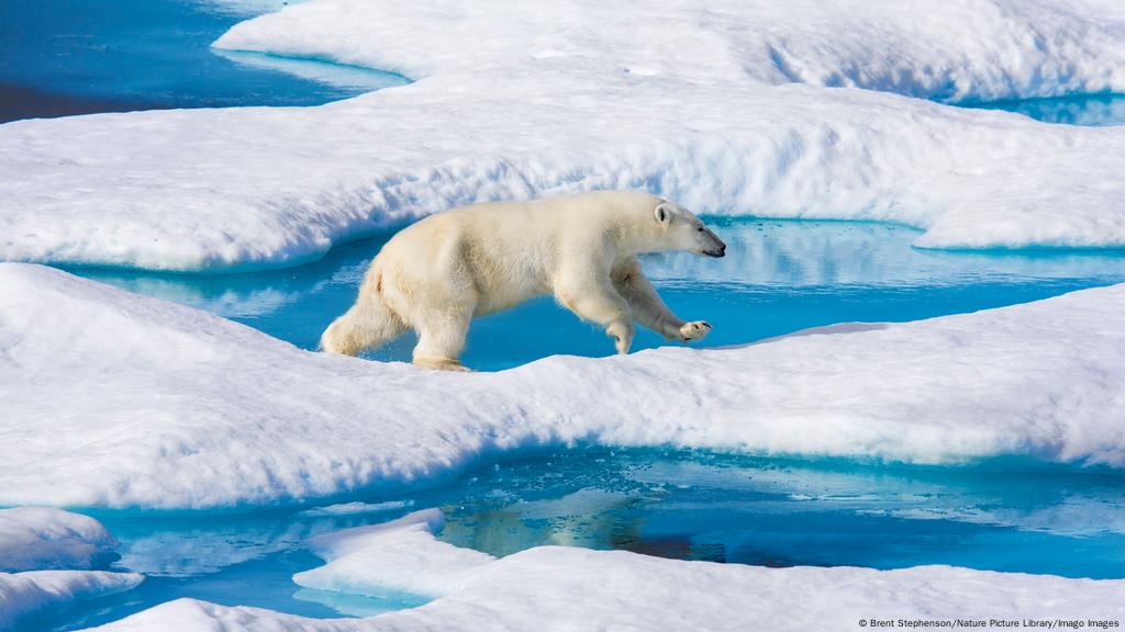 تقلص الجليد في القطب الشمالي إلى ثاني أدنى مستوى مسجل | علوم وتكنولوجيا | آخر الاكتشافات والدراسات من DW عربية | DW | 24.09.2020