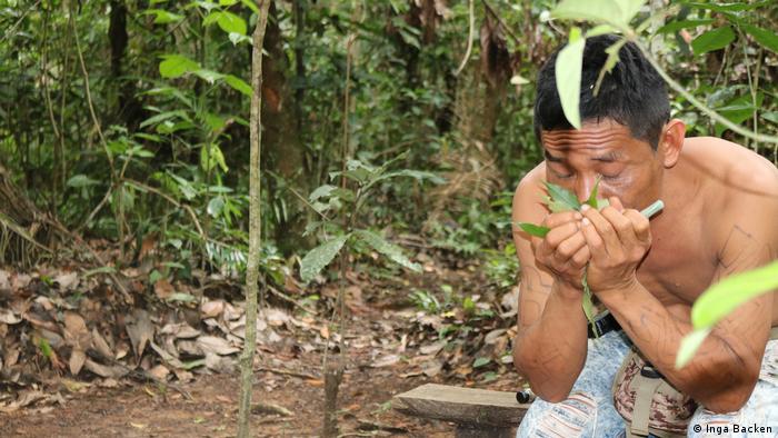 Mann richt an Blättern im brasilianischen Amazonas-Regenwald 