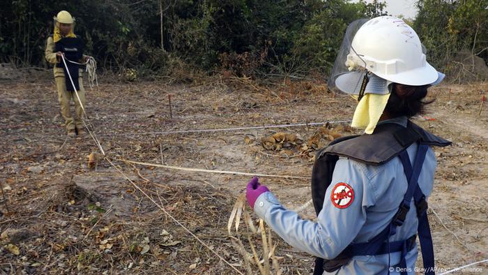 Las ratas africanas son más rápidas que los cuerpos técnicos en la detección de minas y bombas enterradas