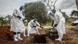 Enterro de vítima do coronavírus em Gana, na África Enterro de vítima do coronavírus em Gana, na África