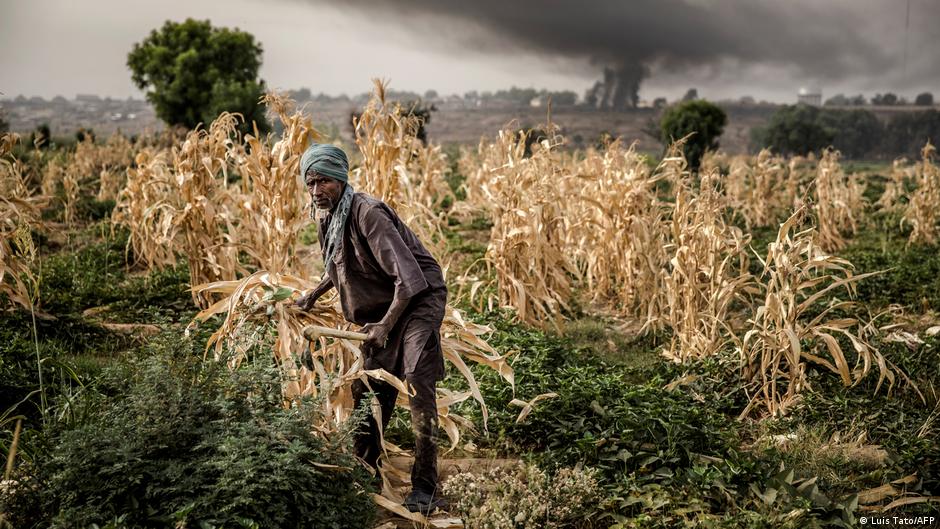 Dwindling number of Africans own land | Africa | DW - Vimarsana News
