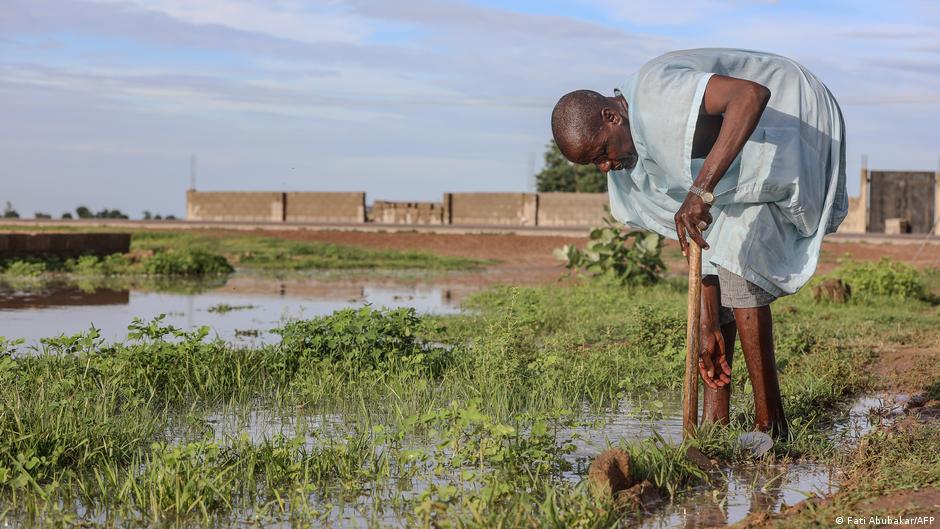 How rural violence spoils Nigeria's harvest – DW – 06/19/2023 - Vimarsana News