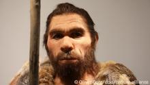 BdT I Neue Präsentation des Neandertalers im LVR-Landesmuseum