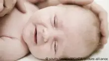 فضل التلقيح الاصطناعي 