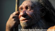 ARCHIV - 10.02.2009, Nordrhein-Westfalen, Mettmann: Die Nachbildung eines älteren Neandertalers steht im Neanderthal-Museum in Mettmann (Nordrhein-Westfalen). (Zu dpa Studie: Neandertaler-Gene erhöhen Risiko für schweren Corona-Verlauf) Foto: Federico Gambarini/dpa +++ dpa-Bildfunk +++ | Verwendung weltweit