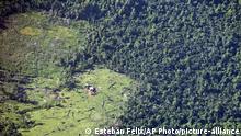 This Sept.16, 2015 aerial photo, shows a portion of land cleared by settlers in Murubila, Nicaragua. Miskito leaders call the settlers colonists and accuse them of seizing by force lands long considered communal property, some who have clear-cut tropical forest for cattle ranching. (AP Photo/Esteban Felix) |
