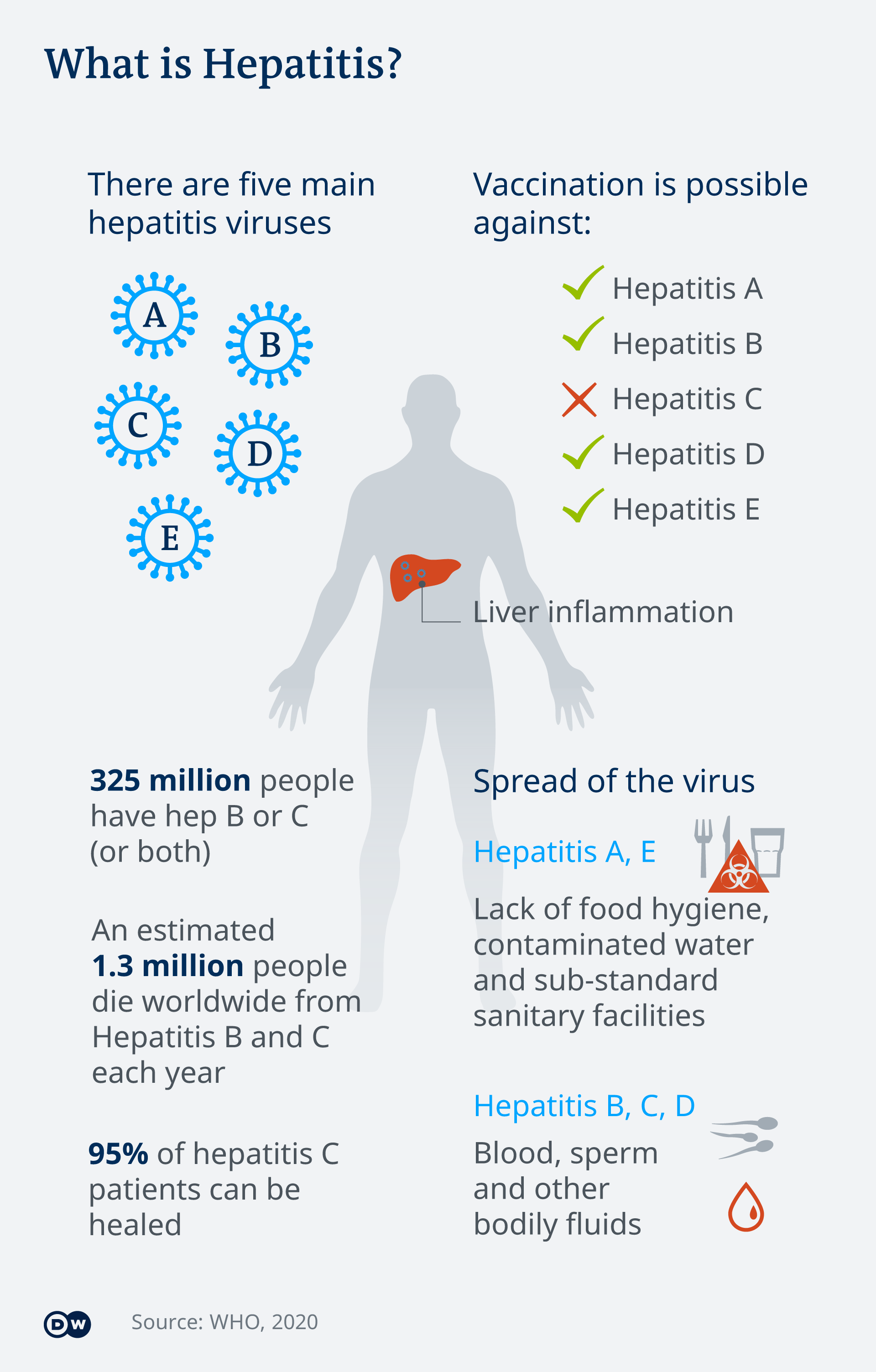 Hepatitis inforgraphic