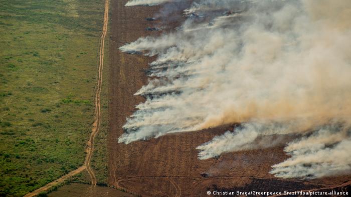 Área de desmatamento e queimadas na Amazônia