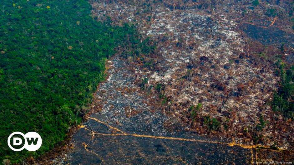 A favor da Amazônia, bancos e entidades católicas pressionam Bolsonaro