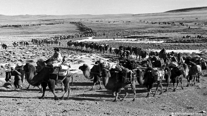 За да прекосят степите на тибетското плато, китайските войски използвали и необичаен вид транспорт - камили.