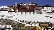 FILE PHOTO: A paramilitary policeman stands guard in front of the Potala Palace in Lhasa, Tibet Autonomous Region, China November 17, 2015. REUTERS/Damir Sagolj/File Photo