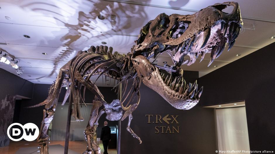 Subastan el esqueleto de un T-Rex por casi 32 millones de dólares en Nueva  York | El Mundo | DW 