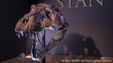 El T. rex Stan hizo historia tras ser vendido por más de 30 millones de dólares.