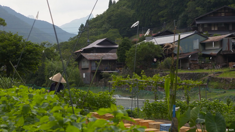 Rejuvenating old villages in Japan DW 10/14/2020
