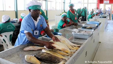 Mosambik I Fisch-Markt Maputo