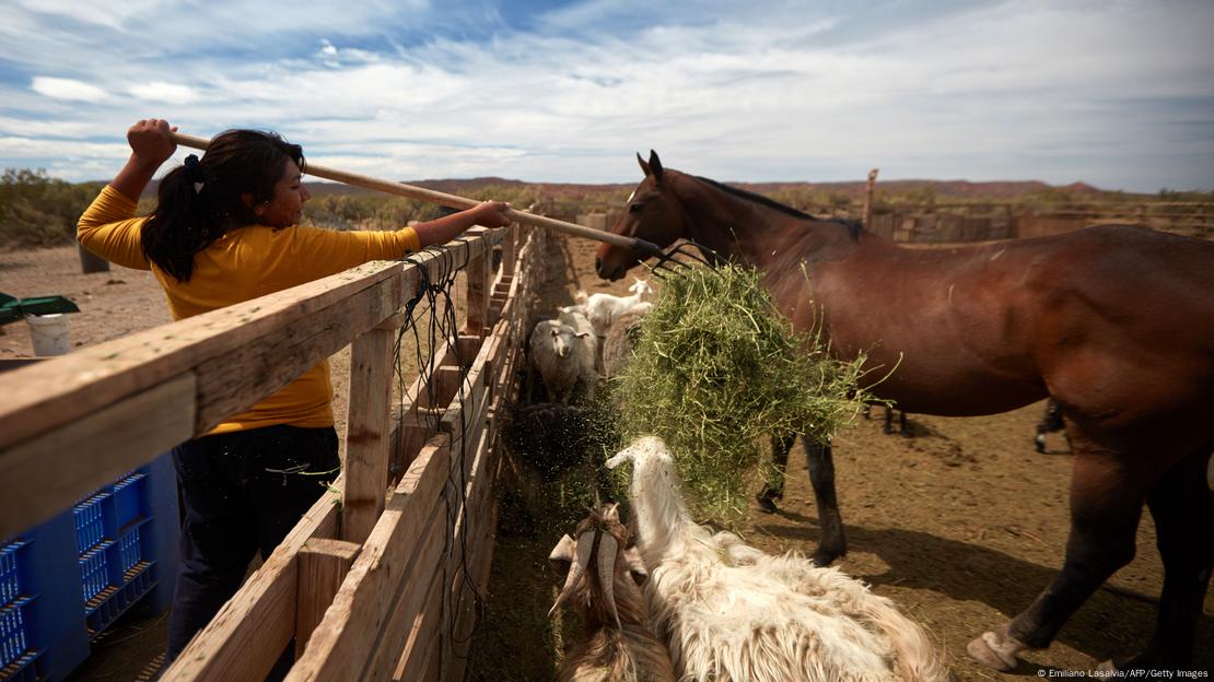 Indígena Mapuche alimenta cabras e cavalo em Anelo, na província argentina de Neuquén.