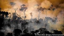 Waldbrand im Amazonas 