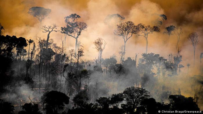 A fire tears through the Amazon rainforest